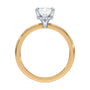 lm-preview|brooklyn-hidden-halo-solitaire-setting|tt-yellow|radiant