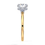 lm-preview|brooklyn-hidden-halo-solitaire-setting|tt-yellow|round