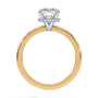 lm-preview|brooklyn-hidden-halo-solitaire-setting|tt-yellow|round