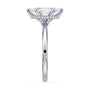 lm-preview|brooklyn-hidden-halo-solitaire-setting|white|marquise
