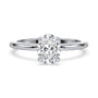 lm-preview|brooklyn-hidden-halo-solitaire-setting|white|oval