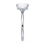 lm-preview|brooklyn-hidden-halo-solitaire-setting|white|radiant