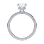 lm-preview|brooklyn-hidden-halo-solitaire-setting|white|radiant