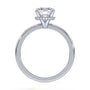 lm-preview|brooklyn-hidden-halo-solitaire-setting|white|round