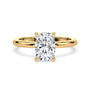 lm-preview|brooklyn-hidden-halo-solitaire-setting|yellow|elongated-cushion