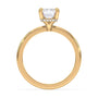 lm-preview|brooklyn-hidden-halo-solitaire-setting|yellow|emerald