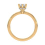lm-preview|brooklyn-hidden-halo-solitaire-setting|yellow|marquise