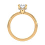 lm-preview|brooklyn-hidden-halo-solitaire-setting|yellow|pear