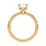 lm-preview|brooklyn-hidden-halo-solitaire-setting|yellow|radiant