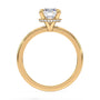 lm-preview|brooklyn-hidden-halo-solitaire-setting|yellow|round