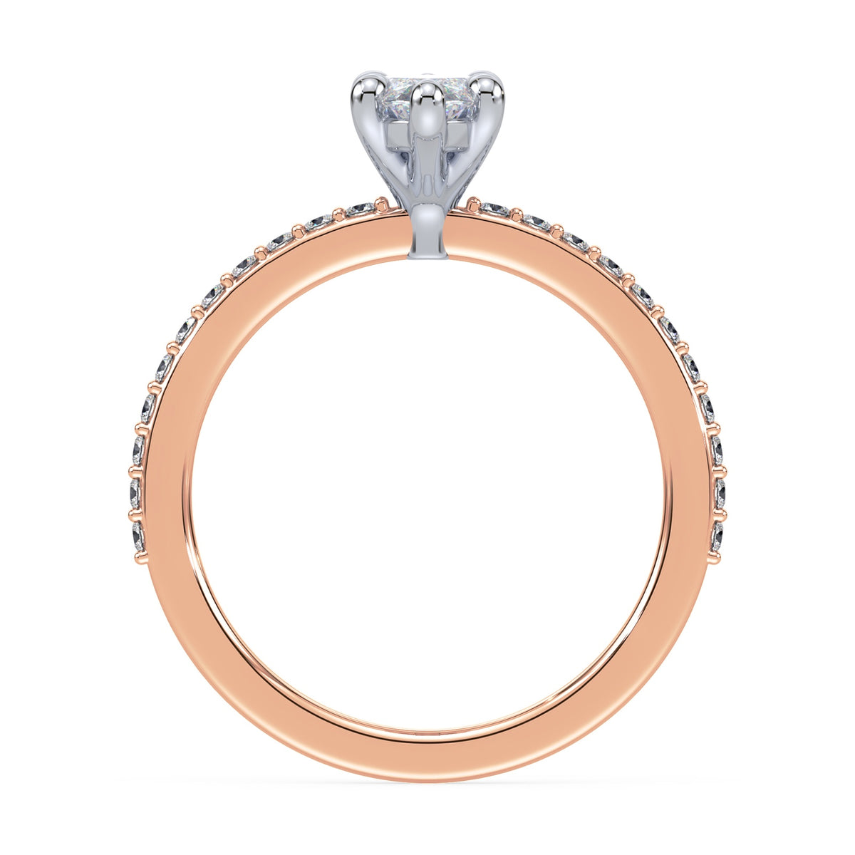 lm-preview|charlotte-pave-setting|tt-rose|marquise