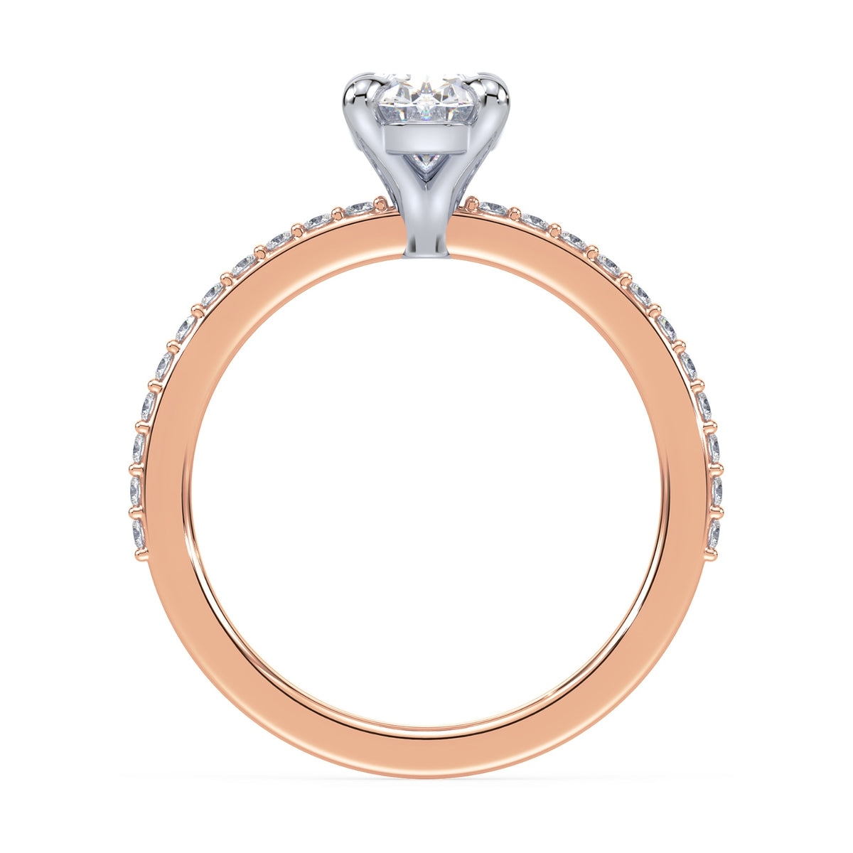 lm-preview|charlotte-pave-setting|tt-rose|oval