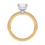 lm-preview|charlotte-pave-setting|tt-yellow|radiant