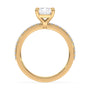 lm-preview|charlotte-pave-setting|yellow|radiant