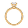 lm-preview|charlotte-pave-setting|yellow|round