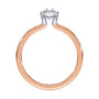 lm-preview|junie-double-claw-prong-hidden-halo-solitaire-setting|tt-rose|oval
