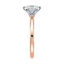 lm-preview|junie-double-claw-prong-hidden-halo-solitaire-setting|tt-rose|round