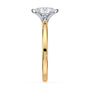 lm-preview|junie-double-claw-prong-hidden-halo-solitaire-setting|tt-yellow|oval