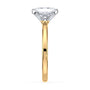 lm-preview|junie-double-claw-prong-hidden-halo-solitaire-setting|tt-yellow|radiant