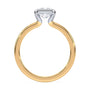 lm-preview|junie-double-claw-prong-hidden-halo-solitaire-setting|tt-yellow|radiant