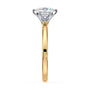 lm-preview|junie-double-claw-prong-hidden-halo-solitaire-setting|tt-yellow|round