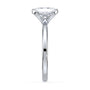 lm-preview|junie-double-claw-prong-hidden-halo-solitaire-setting|white|radiant