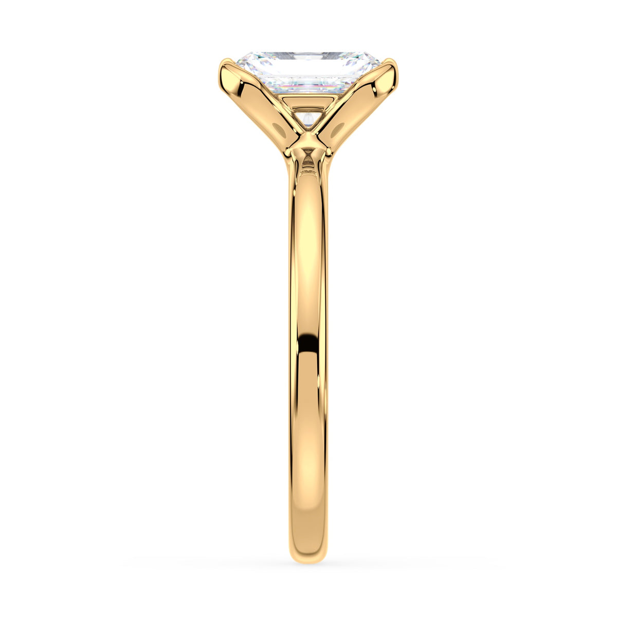 lm-preview|junie-double-claw-prong-hidden-halo-solitaire-setting|yellow|radiant