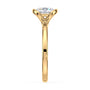 lm-preview|junie-double-claw-prong-hidden-halo-solitaire-setting|yellow|round