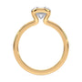 lm-preview|junie-double-claw-prong-hidden-halo-solitaire-setting|yellow|round