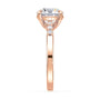 lm-preview|clara-cathedral-pave-setting|rose|round
