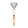 lm-preview|clara-cathedral-pave-setting|tt-rose|oval