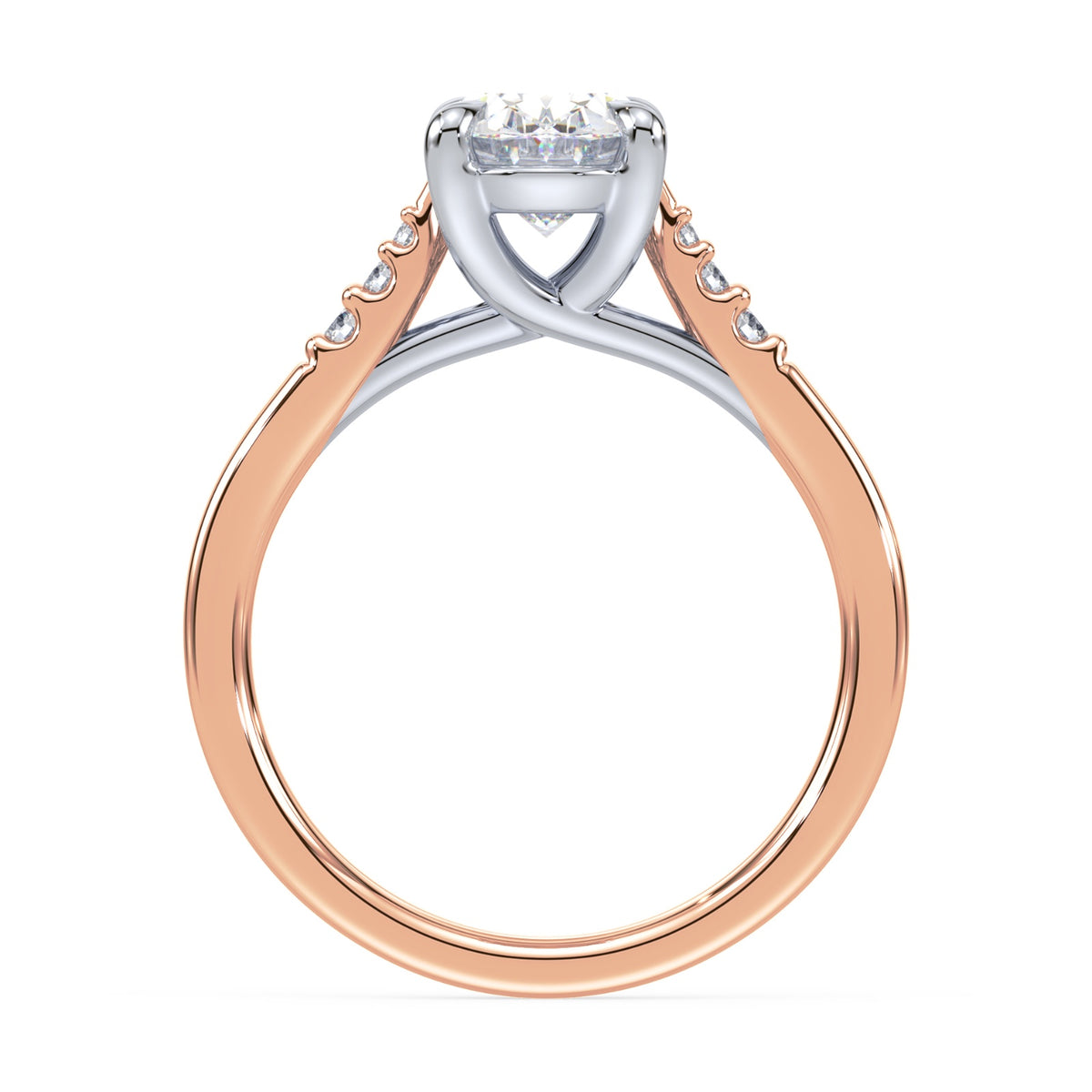 lm-preview|clara-cathedral-pave-setting|tt-rose|oval