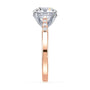 lm-preview|clara-cathedral-pave-setting|tt-rose|round