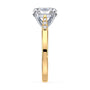lm-preview|clara-cathedral-pave-setting|tt-yellow|oval