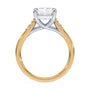 lm-preview|clara-cathedral-pave-setting|tt-yellow|radiant