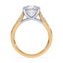 lm-preview|clara-cathedral-pave-setting|tt-yellow|round