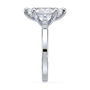 lm-preview|clara-cathedral-pave-setting|white|marquise