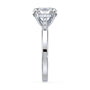 lm-preview|clara-cathedral-pave-setting|white|oval