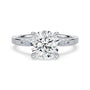 lm-preview|clara-cathedral-pave-setting|white|round