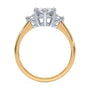 lm-preview|florence-three-stone-setting|tt-yellow|marquise