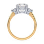 lm-preview|florence-three-stone-setting|tt-yellow|round