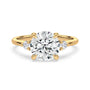 lm-preview|florence-three-stone-setting|yellow|round