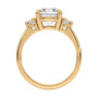 lm-preview|florence-three-stone-setting|yellow|round