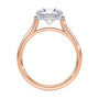 lm-preview|gemma-peek-a-boo-bezel-cathedral-solitaire-setting|tt-rose|round