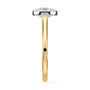 lm-preview|gwyneth-solitaire-bezel-setting|tt-yellow|round