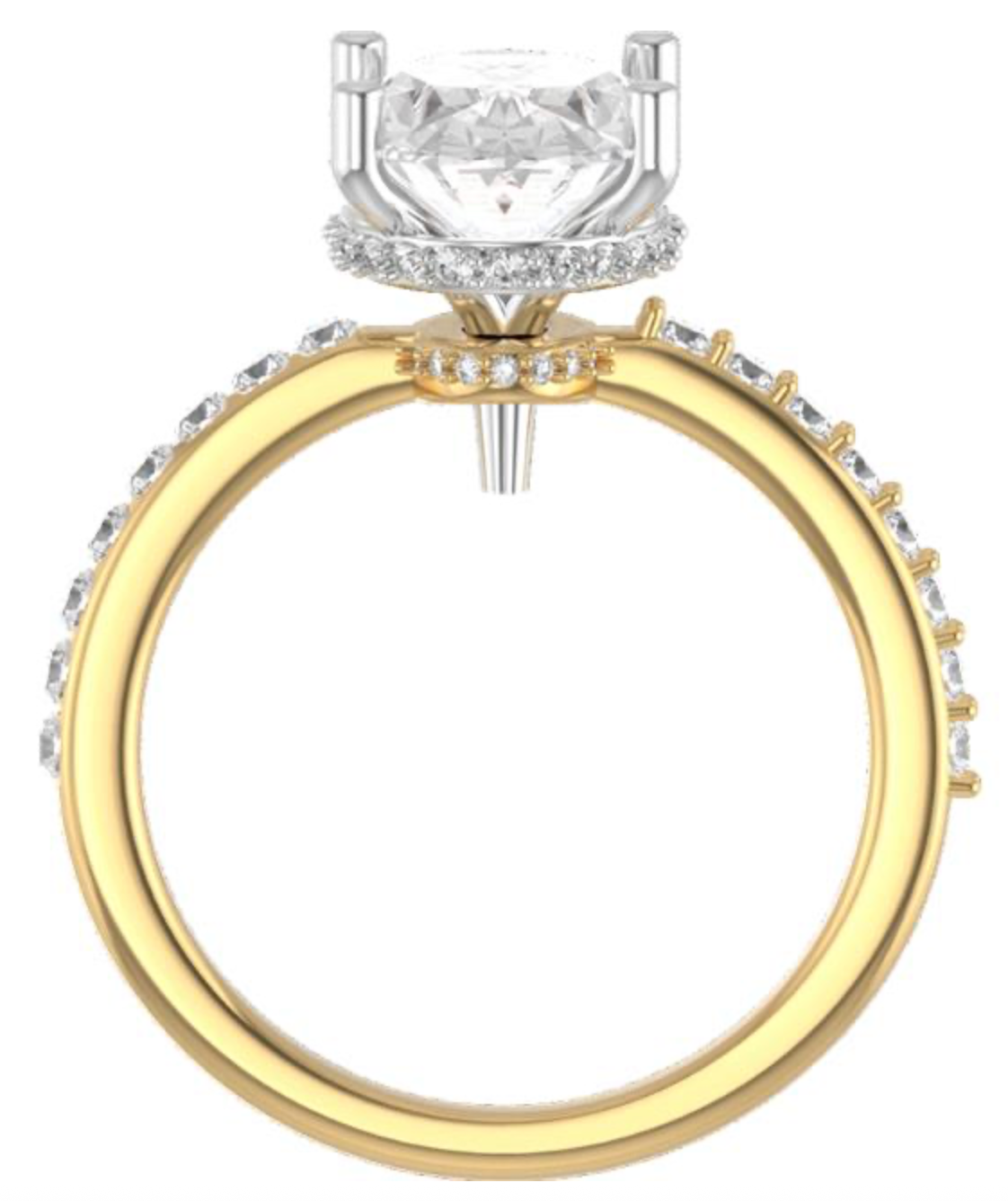 Custom Double Hidden Halo Setting