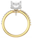 Custom Double Hidden Halo Setting