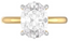 Custom Two Tone Solitare Setting