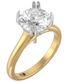 Two Tone Cathedral Setting with Hidden Halo and Double Prongs