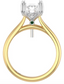 Two Tone Cathedral Setting with Hidden Halo and Double Prongs
